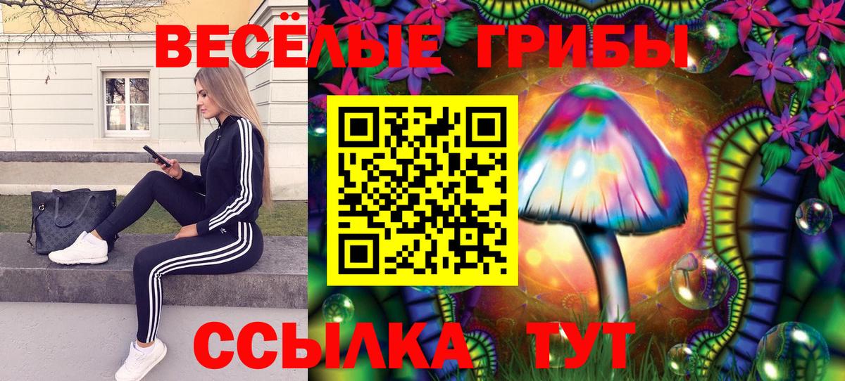 Псилоцибиновые грибы прущие грибы Майкоп