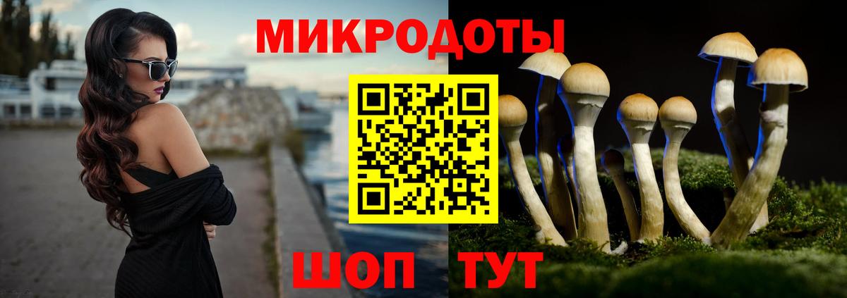 Майкоп  Псилоцибиновые грибы ЛСД  Псилоцибиновые грибы Psilocybe  Вход с VPN 